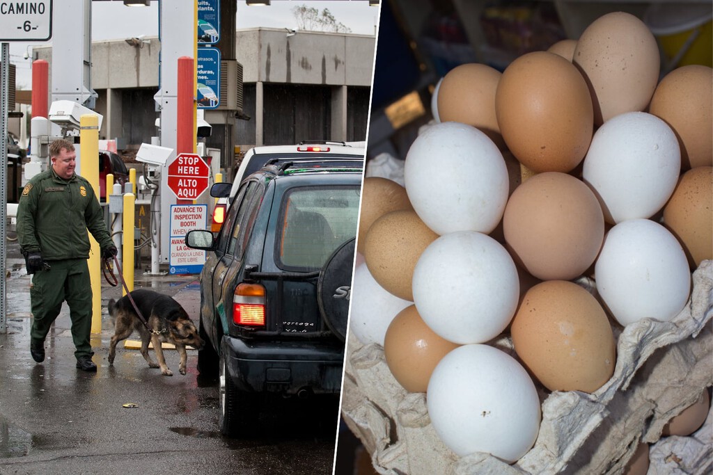 Los huevos están tan caros en EEUU que un nuevo fenómeno causa estragos en la frontera con México: su contrabando