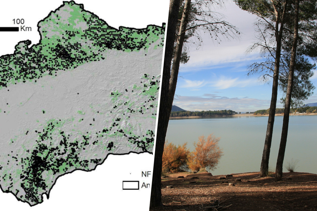 La contradicción de Andalucía: pese a ser una de las zonas más afectadas por la desertificación, es más verde que hace 30 años