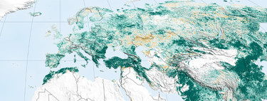 El mundo hoy es un lugar más verde que hace veinte años. Este mapa muestra hasta qué punto 