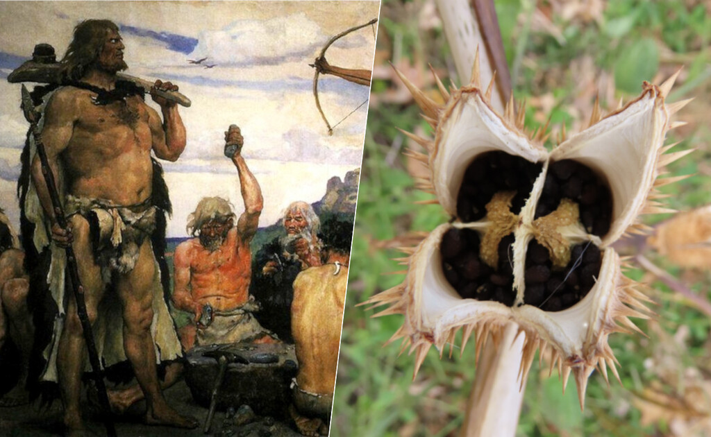 3.000 años colocándonos: ya sabemos qué sustancia consumían los europeos prehistóricos para sus ritos chamánicos