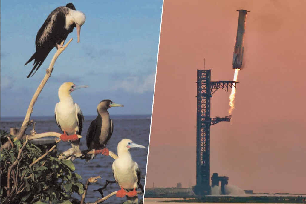 EEUU y SpaceX querían revolucionar la entrega de armas en cualquier parte del mundo. Un pájaro tropical tenía otros planes